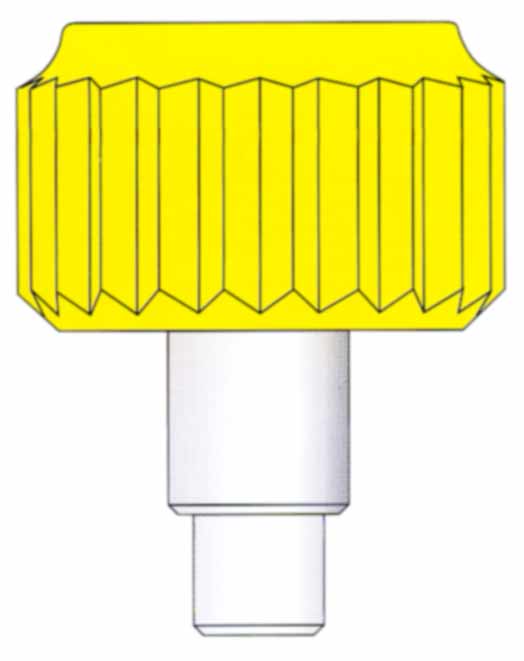 Corona a vite dorata con tubo e guarnizione Corona a vite dorata con tubo e guarnizione