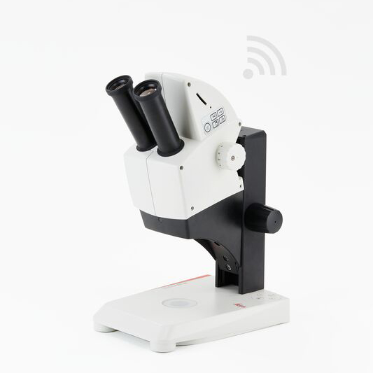 Stereomicroscopio LEICA EZ4 W con oculari fissi 10X
