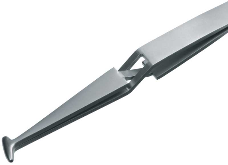 4139.AC47 Rubis Pinzette antimagnetisch Nr. C47