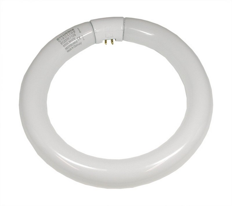 Flourescent ring tube 22 W Flourescent ring tube 22 W