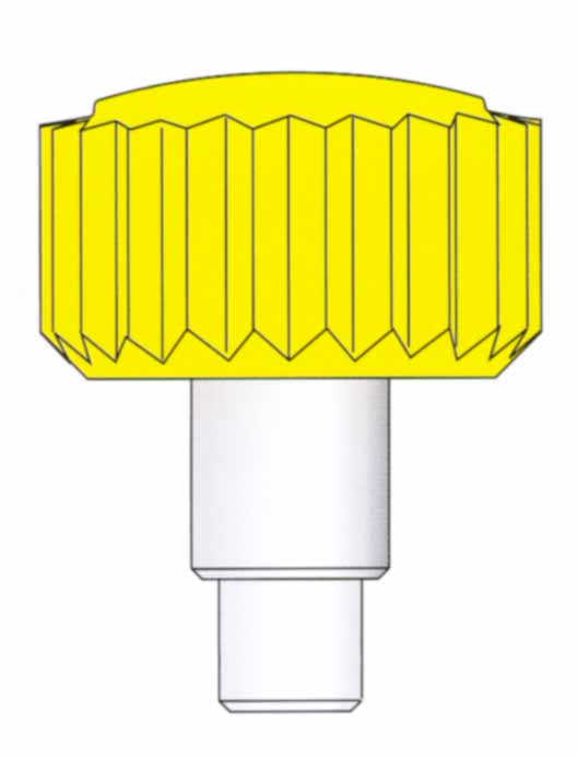 Corona a vite dorata con tubo e guarnizione Corona a vite dorata con tubo e guarnizione