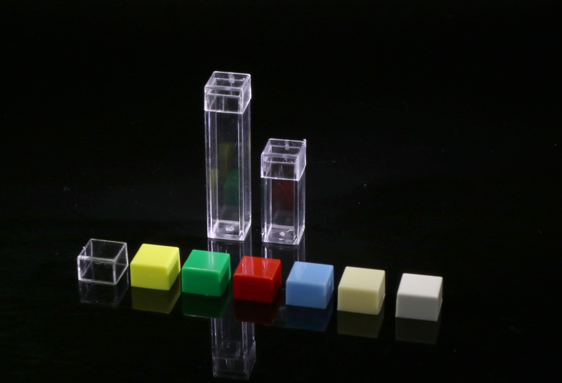 Scatolina trasparente con coperchio in diversi colori