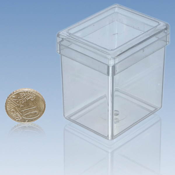 Transparent case with lid