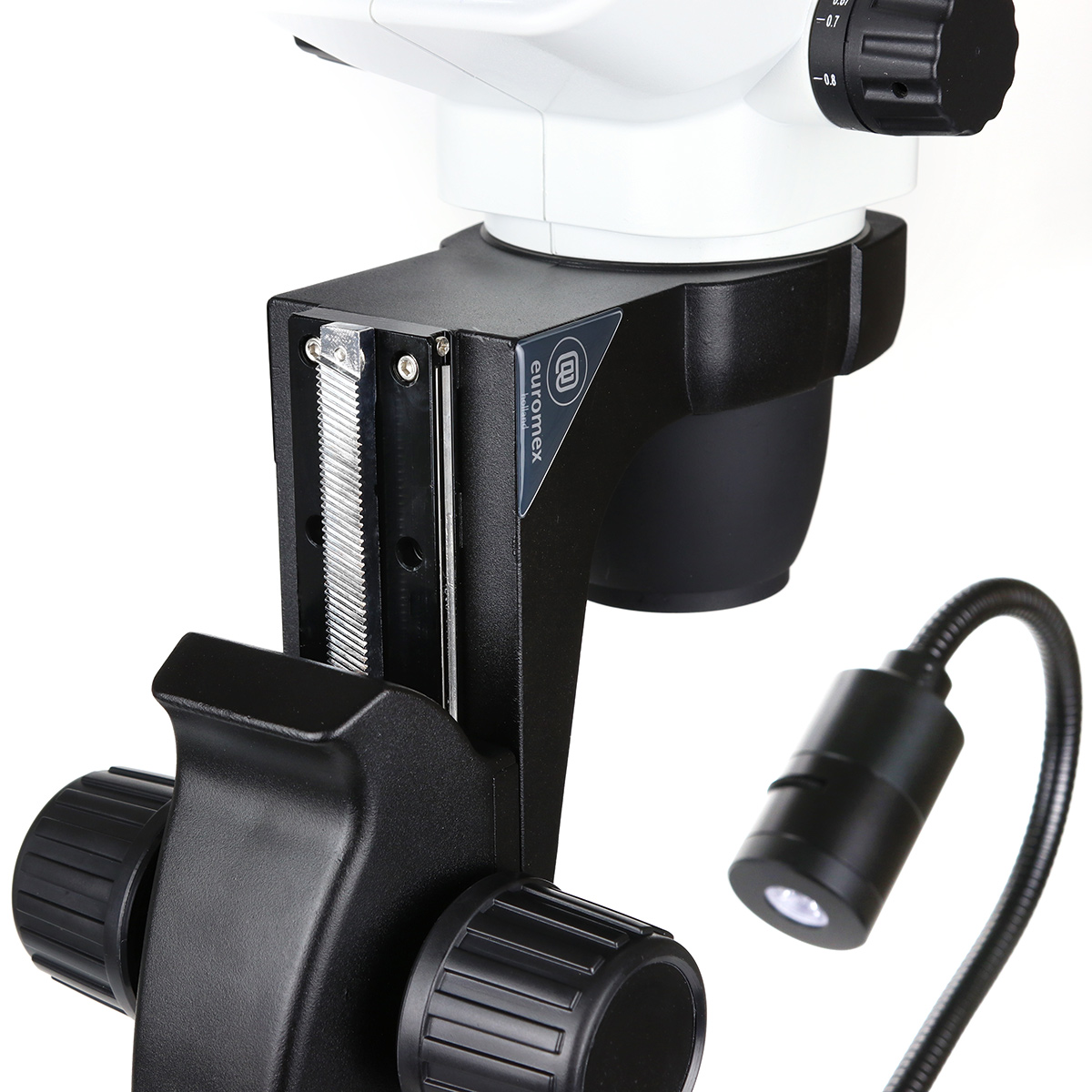 4262_NZ1902L_NZ1903L_Kopf